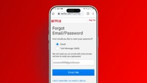 Reset Netflix Password